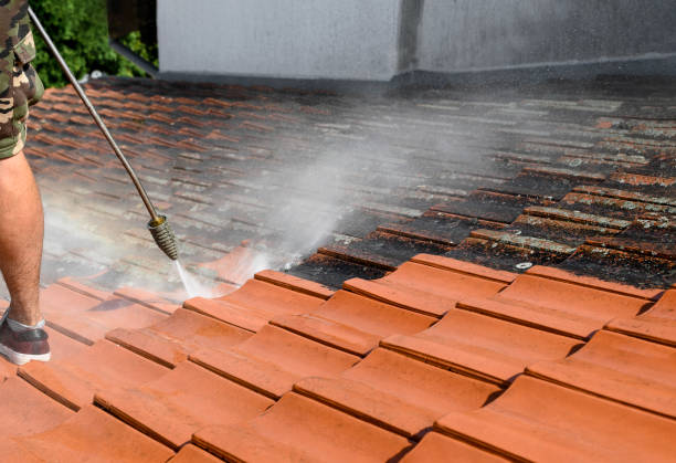 Best Best Pressure Washing Companies  in Latta, OK